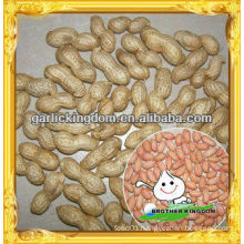 China Peanut